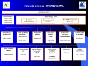 Organograma Sistêmica